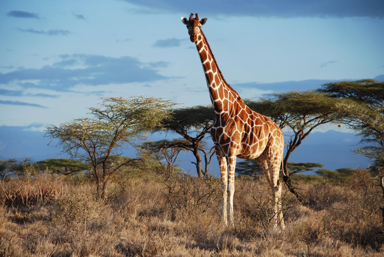 Bush Lovers Lodge Модімолле Екстер'єр фото