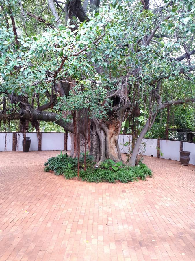 Bush Lovers Lodge Модімолле Екстер'єр фото